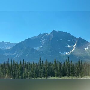 Bundle for karalewis591